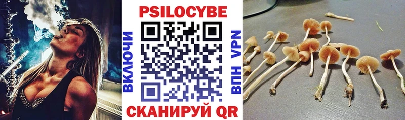 купить наркоту  Полярный  Галлюциногенные грибы Psilocybine cubensis 