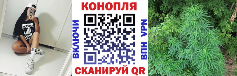 сколько стоит  Полярный  Бошки Шишки VHQ 